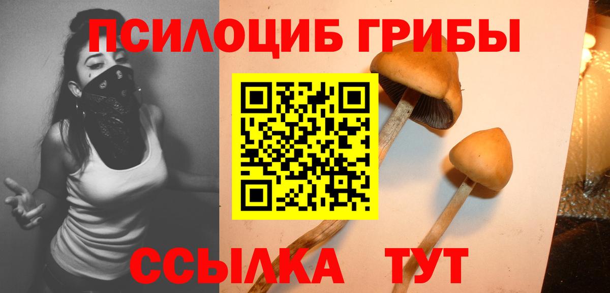 Галлюциногенные грибы Cubensis Сертолово